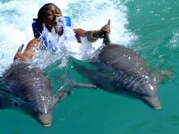 Dolphin Lagoon at Half Moon Resort, Montego Bay