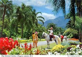 Hope Gardens in Kingston, Jamaica, https://www.jamaica-reggae-music-vacation.com/Travel-To-Kingston-Jamaica.html