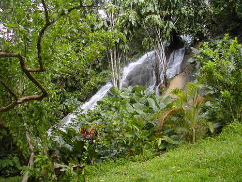 Somerset Falls, https://www.jamaica-reggae-music-vacation.com/Port-Antonio-Attractions.html