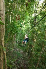 Zipline, Jamaica, https://www.jamaica-reggae-music-vacation.com/Ocho-Rios-Tours.html