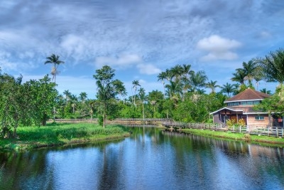 Cotton Tree Lake House, Negril