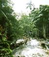 Hiking Mayfield Falls