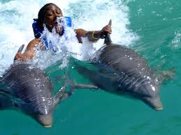 Dolphin Cove, Ocho Rios, https://www.jamaica-reggae-music-vacation.com/Travel-Ocho-Rios.html