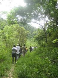 Hiking In Jamaica