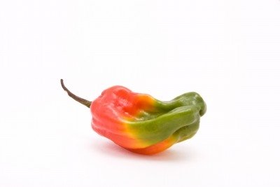 https://www.jamaica-reggae-music-vacation.com/Jamaican-Hot-Sauce.html, scotch bonnet pepper, jamaica hot pepper, jamaican hot sauce