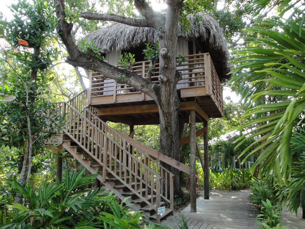 Unique Tree House Cottage in Negril, Jamaica. https://www.jamaica-reggae-music-vacation.com/Negril-Tree-House-Cottages.html