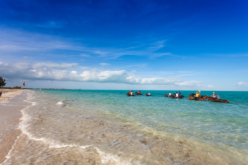 https://www.jamaica-reggae-music-vacation.com/Montego-Bay-Jamaica-Activities.html, Horse back riding on the beach in Montego Bay, Jamaica